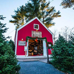 Not To Miss Holiday Happenings & Shopping Near Brunswick, ME
